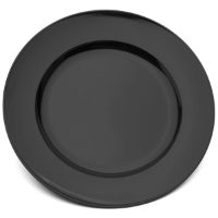 24cm Wide Rim Polycarbonate Dinner Plate