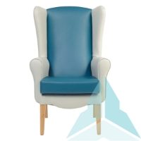 Ashford Armchair in Zest Platinum