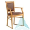 Kinley Dining Chair with Skis in Zest Mushroom