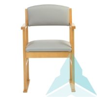 Hadley Dining Chair with Skis in Zest Dove