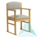 Hadley Dining Chair with Skis in Zest Dove
