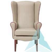 Ashford Armchair in Zest Putty with Balsam Thistle and Zest Cherry Piping