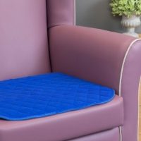 Washable Chair Pad, Blue