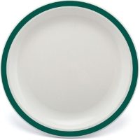 17cm Polycarbonate Plates With Coloured Rim