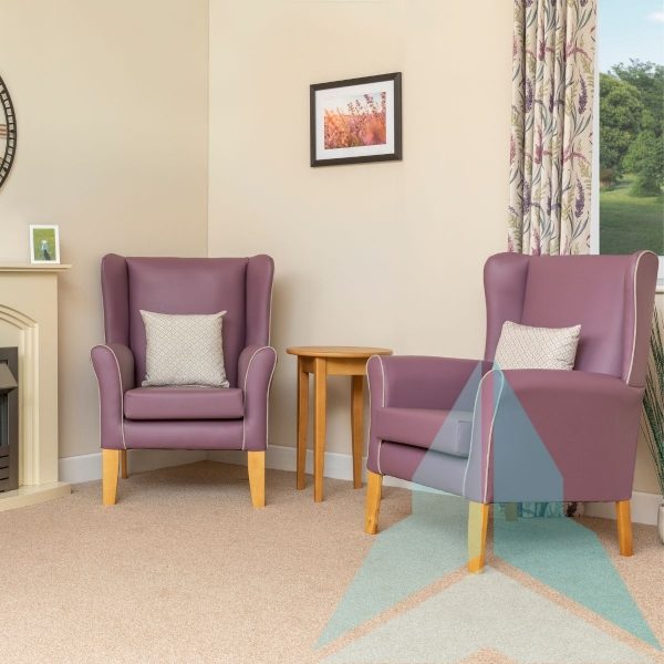 Wynslow Armchair in Zest Grape With Linetta Silver Piping