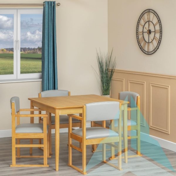Hadley Dining Chair With Skis in Zest Dove, Oak