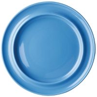 Olympia Heritage Raised Rim Dinner Plates, Blue, 25cm/400ml